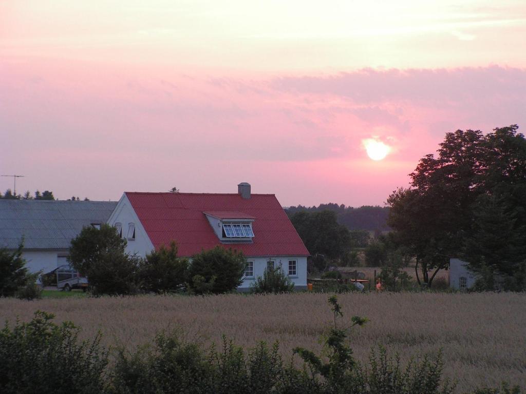 Brunbjerg Apartments Billund Buitenkant foto